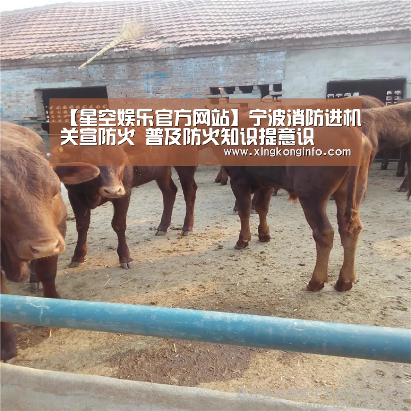 【星空娱乐官方网站】宁波消防进机关宣防火