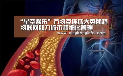 “星空娱乐”万物互连成大势所趋 物联网助力城市精细化管理(图2) 星空娱乐app