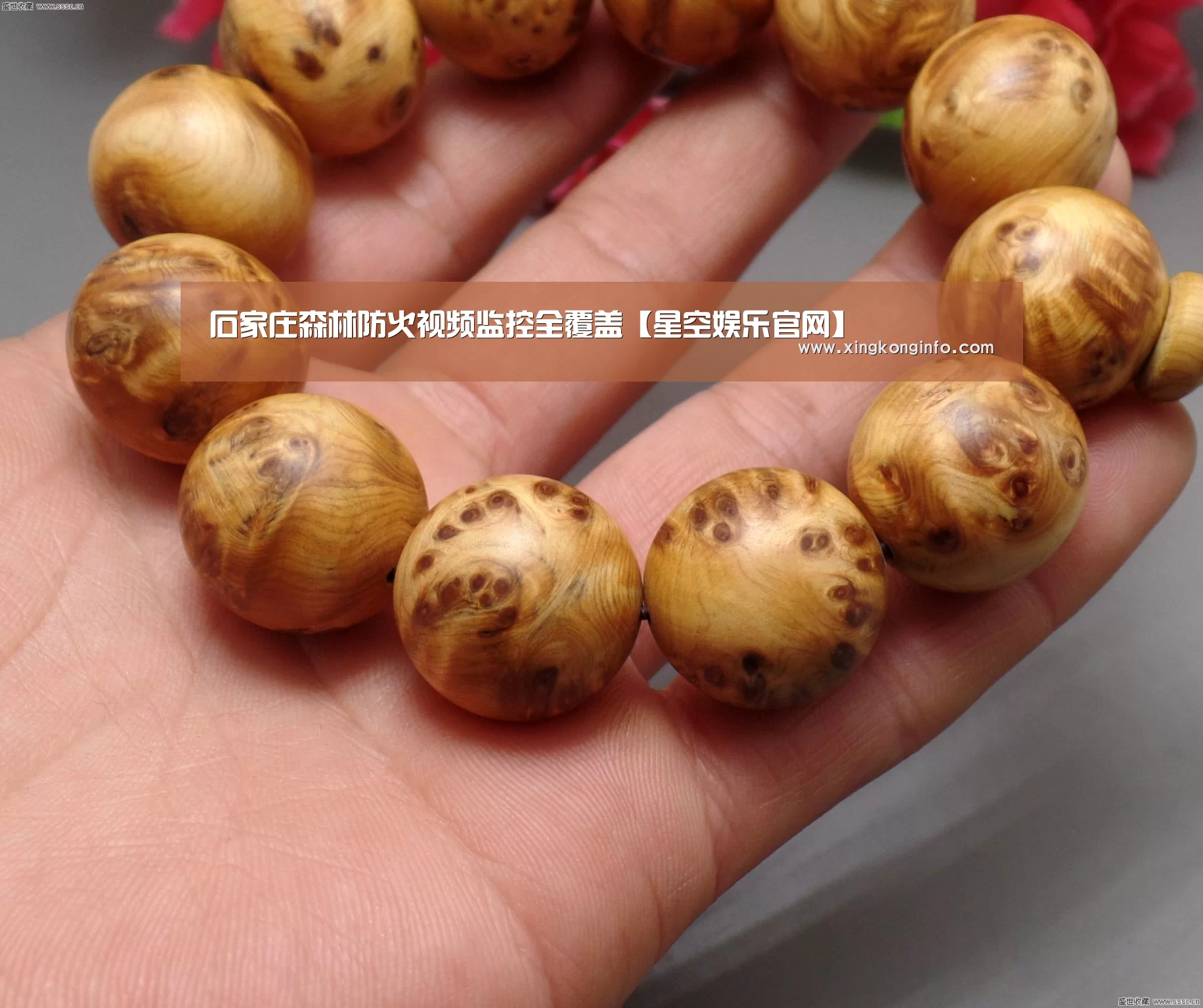 石家庄森林防火视频监控全覆盖【星空娱乐官网】(图2) 星空娱乐官方网站