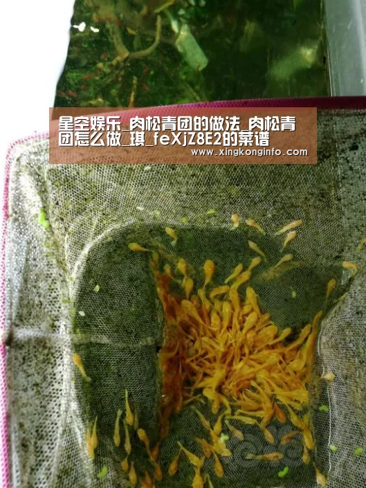 星空娱乐_肉松青团的做法_肉松青团怎么做_琪_feXjZ8E2的菜谱(图1) 星空娱乐官网
